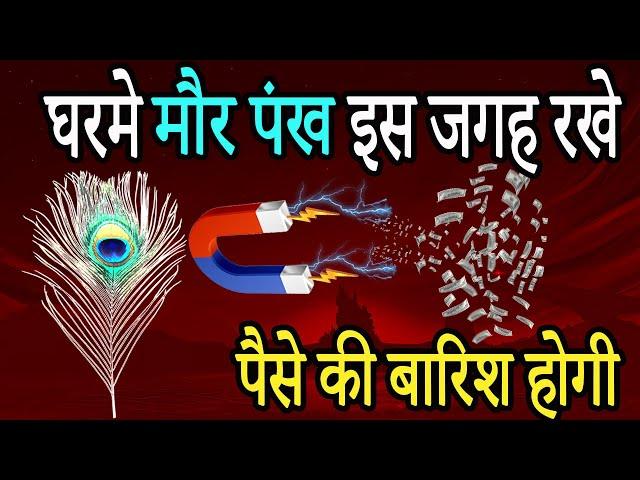 घरमे 3 मौर पंख इस जगह रखेदे, चमत्कार होगा | Vastu Tips Hindi  | Shastriya Hindi