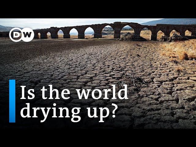 UN holds conference on global water scarcity | DW News