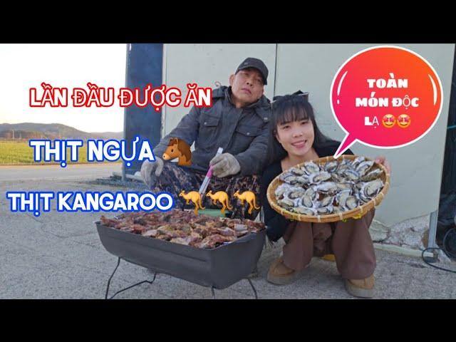 #136 Hàn Quốc toàn món độc lạ lần đầu được ăn thịt ngựa và thịt kangaroo hay còn gọi là chuột túi.