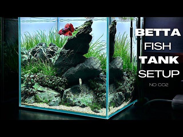 BETTA FISH TANK SETUP | IWAGUMI AQUASCAPE FOR BETTA FISH | AQUASCAPING TUTORIAL | NANO AQUARIUM