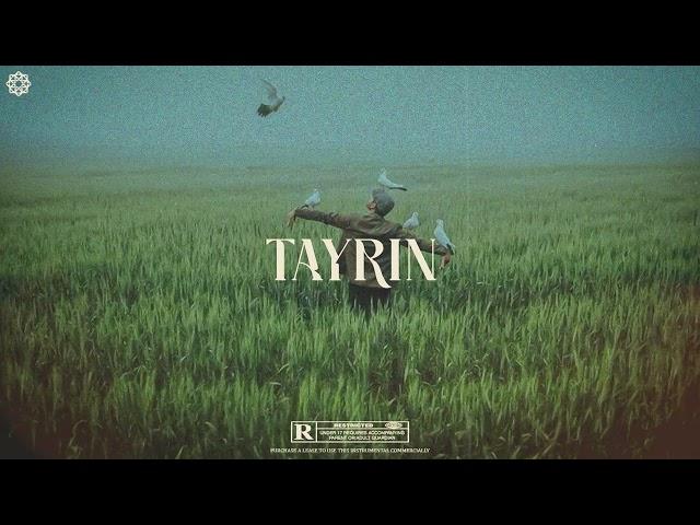 TAYRIN - Tif X Amapiano Type Beat l Arabic Afro Instrumental