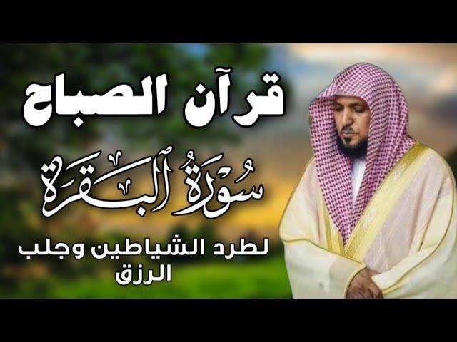 قرآن الصباح | سورة البقرة لحفظ وتحصين المنزل | بصوت الشيخ ماهر المعيقلي - جودة عالية