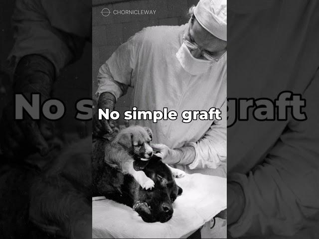 The Shocking Truth: How a Soviet Scientist Created a Two-Headed Dog