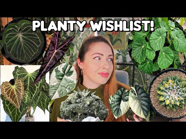 New 2025 Houseplant Wishlist  & what I crossed off my 2024 Wishlist!