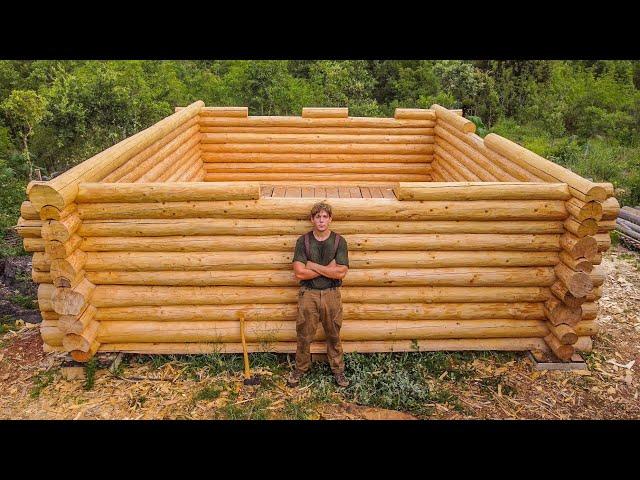 Walls Are Almost Done! One Man Building LOG CABIN in Off Grid Bush | EP 15