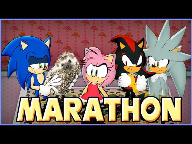 If Sonic, Amy, Shadow and Silver were in a Cute Hedgehogs Compilation Video - The Marathon