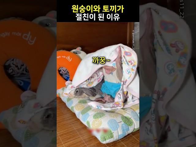 원슝이의 우당탕탕 적응기