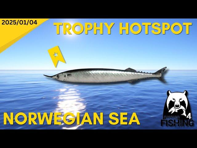 Trophy Atlantic Saury spot - Norwegian Sea - Russian Fishing 4