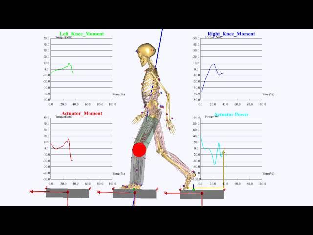 Exoskeleton Device Analysis for Gait using AnyBody Modeling System