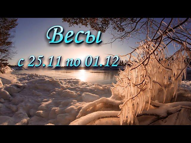 Весы Таро прогноз на неделю с 25.11 по 01.12.2024.