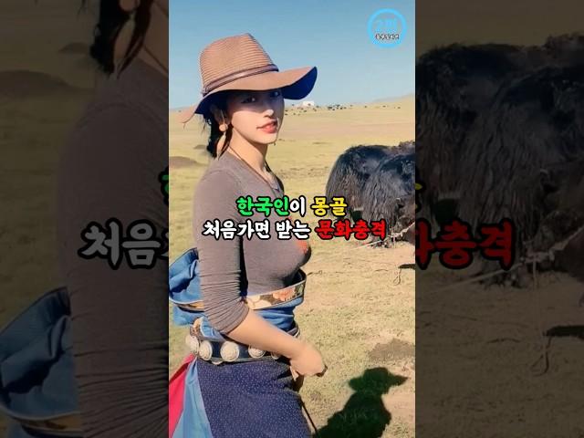한국인이 몽골 처음가면 받는 문화충격(2)