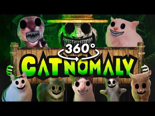 360º VR CATNOMALY