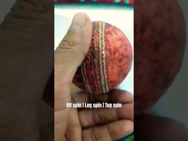 The Art of Spin Bowling: Techniques Explained