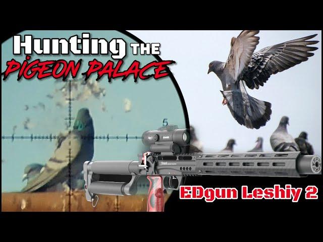 Hunting the Pigeon Palace with the EDgun Leshiy 2 (Part 1)