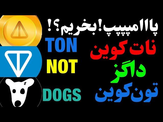 تحلیل فوری : آیا پامپ ادامه دارد؟ تحلیل داگز | تحلیل نات کوین | تحلیل تون کوین