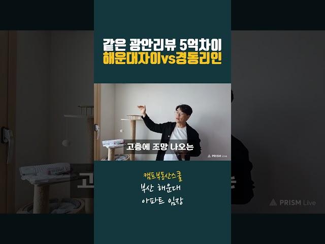 비슷한 입지 같은 광안리 뷰 5억 차이 나는  해운대 자이 VS 해운대 경동 리인