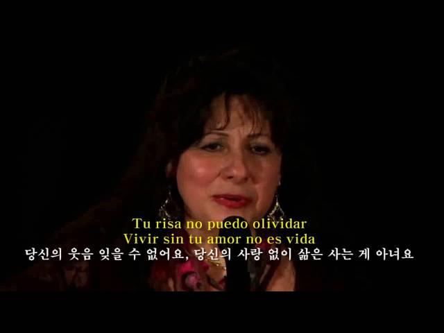 Donde Voy -Tish Hinojosa (한글 자막판) 전 어디로 가죠 -Spanish subtitles