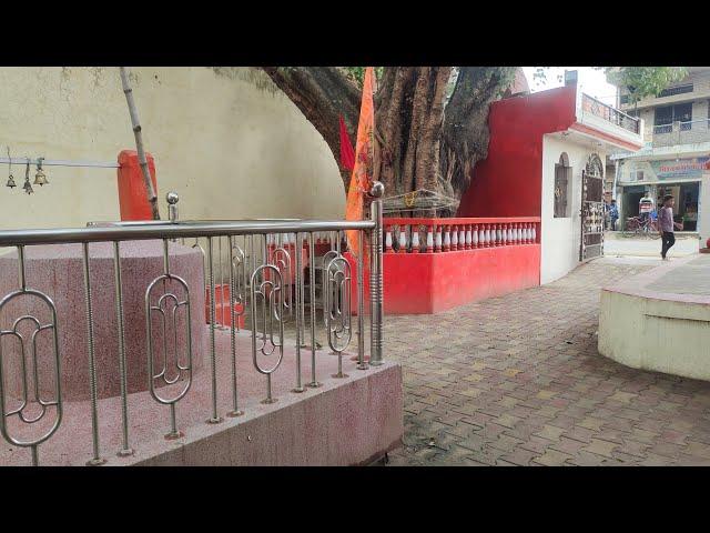 Mr.Naveen blogger is live! Hathi ram baba mandir prasad vitran hathi bazar varanasi