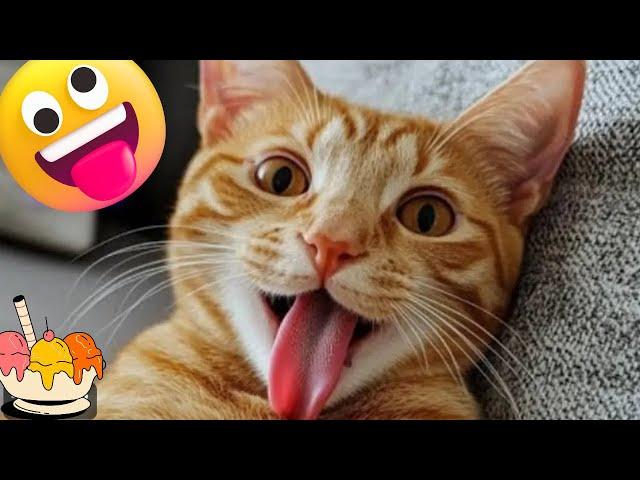 Best FUNNY videos Of cats,dogs 2025CUTE And FUNNY ANIMALS Videos  Moments 2025 FUNNY Cute kittens