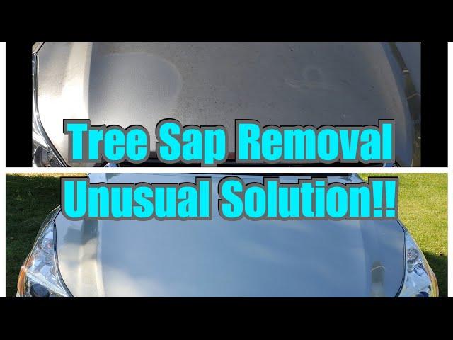 You won't believe what removes this baked on tree sap!!