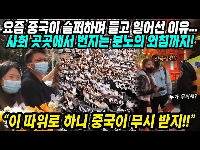 중국반응│중국이 슬퍼하며 인민들이 들고 일어선 이유│중국이 이러니 중국인이 해외에서 무시 받지│시진핑 3연임으로 예상되는 중국의 미래│중국어로[路]