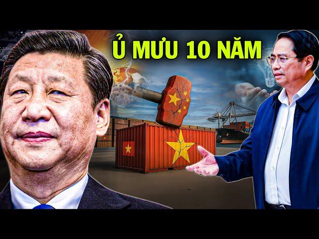 Trung Quốc Tung Đòn Kinh Tế Chí Mạng: Việt Nam Âm Thầm Bẻ Gãy Nước Cờ Định Mệnh?