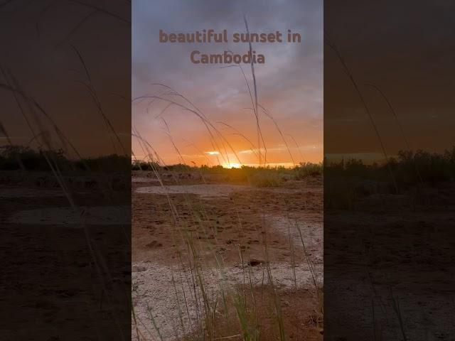 Fresh life Beautiful sunset in Cambodia #natural #relax #weekend #sunset #music #cambodia ￼￼￼￼￼