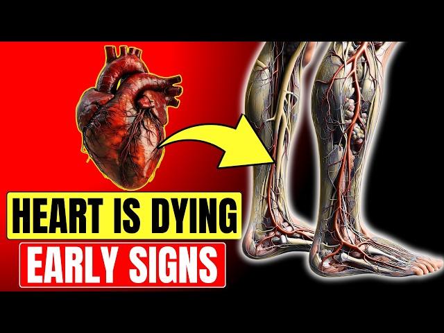 10 Warning Signs of Blocked Heart Arteries In Legs and Feet (Don't Ignore These Signals)