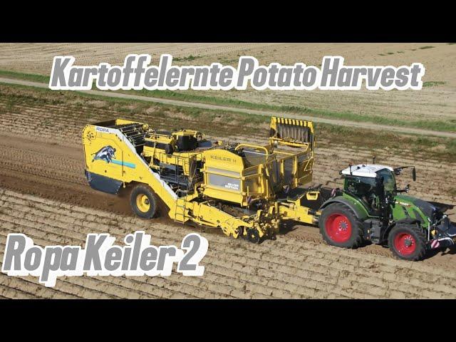 Kartoffelernte 2024  Ropa Keiler 2 Potato Harvest 