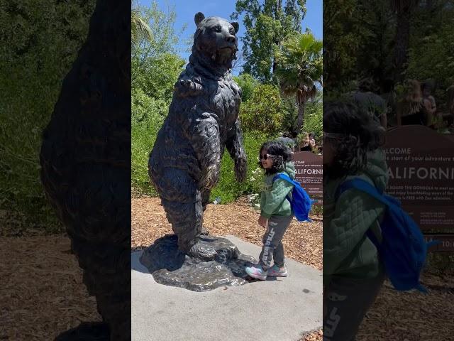 Roar-tastic Adventures at Oakland Zoo!  #Shorts #ZooFun