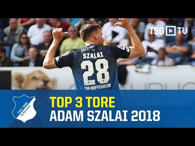 TSG Hoffenheim - Top 3 Goals Adam Szalai 2018