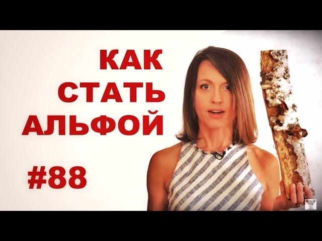 Как стать альфой? (если тебе это надо) // Всё как у зверей #88