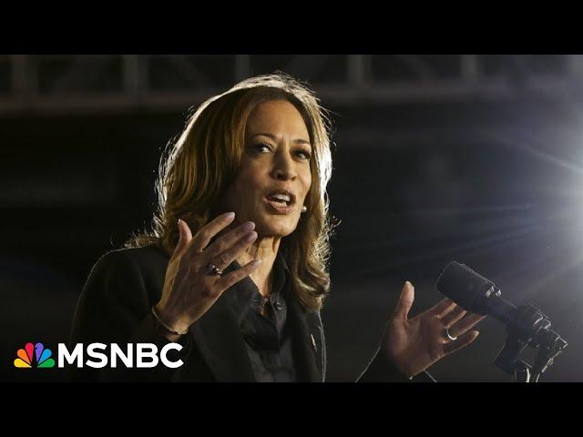 ‘Democrats being Democrats’: Michael Steele pushes back on questions over Harris’s campaign efforts