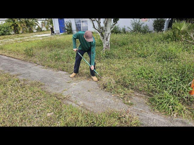 They NEGLECTED This LAWN on PURPOSE!  You'll Be SHOCKED Why! Overgrown Lawn Transformation