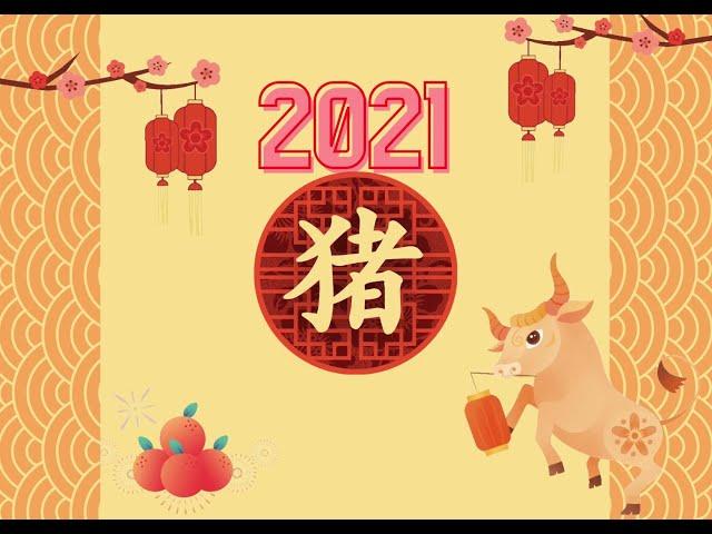 2021 Chinese Horoscope Outlook - Boar [生肖猪2021牛年运势] | The Art Of Blessing