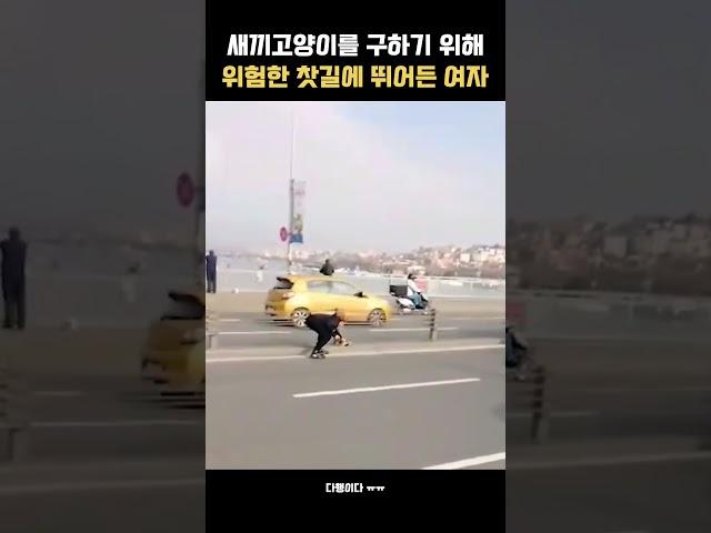 고양이를 구한 여자