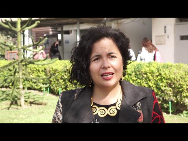 Dra. Verónica López - Doctorado en Psicología PUCV