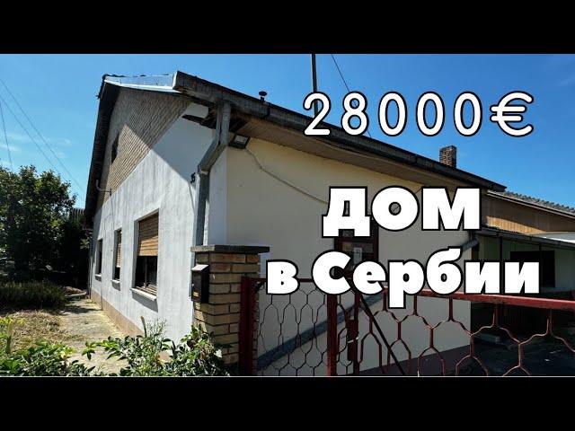 Что можно купить за 28000€ в Сербии? Дом в селе Купусина