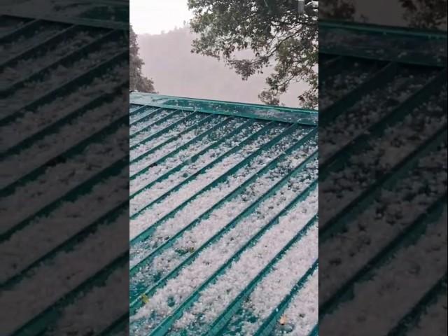 Nainital weather ️️ June #Uttarakhand