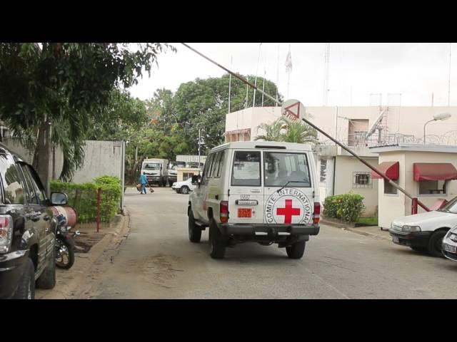 How do I become an assistant at the ICRC? | Working for the ICRC