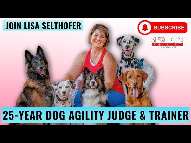 Welcome to my Dog Agility Channel! | Dog Agility Training | Lisa Selthofer