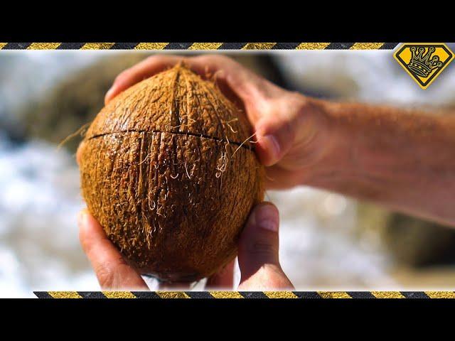 How To Open Coconuts Without Any Tools! TKOR's Easy Way Of Cracking Coconuts!