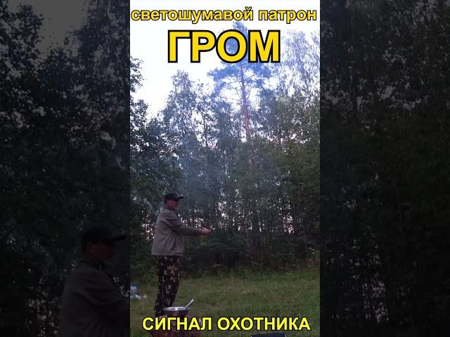 Светошумавой патрон #ГРОМ сигнал охотника #shorts