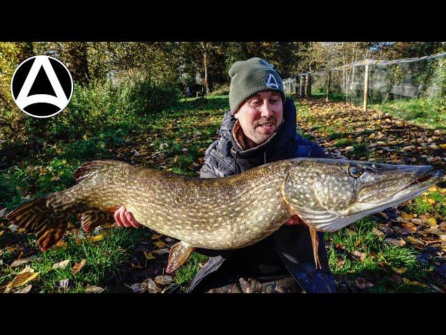 Episode.14 Fishing for Big Autumn Pike