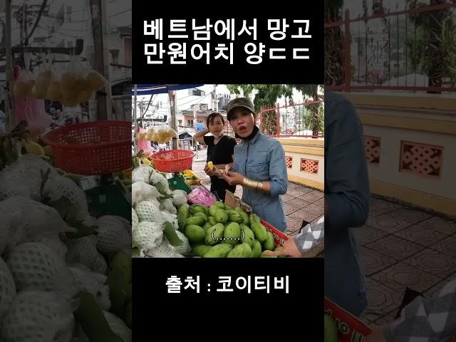 베트남에서 망고 만원어치를 사면?ㄷㄷ