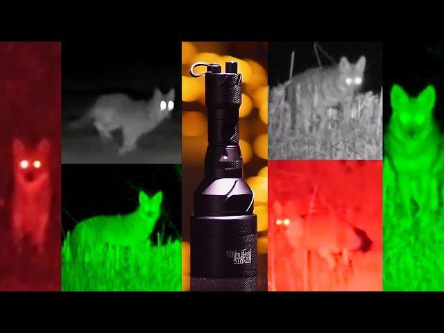 Epic Coyote Hunting Powerhouse - Coyote Reaper XXL by Predator Tactics!