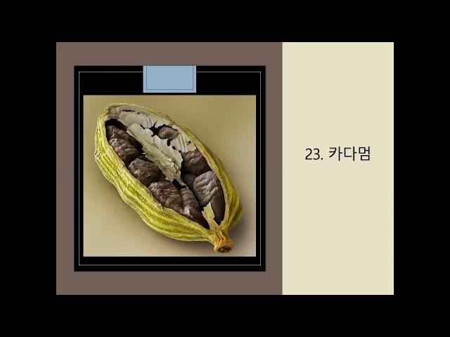 에센셜오일의 정서적 효능48(문남숙선생님)