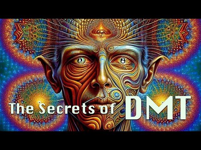 DMT: The Most Intriguing Substance in the Universe?