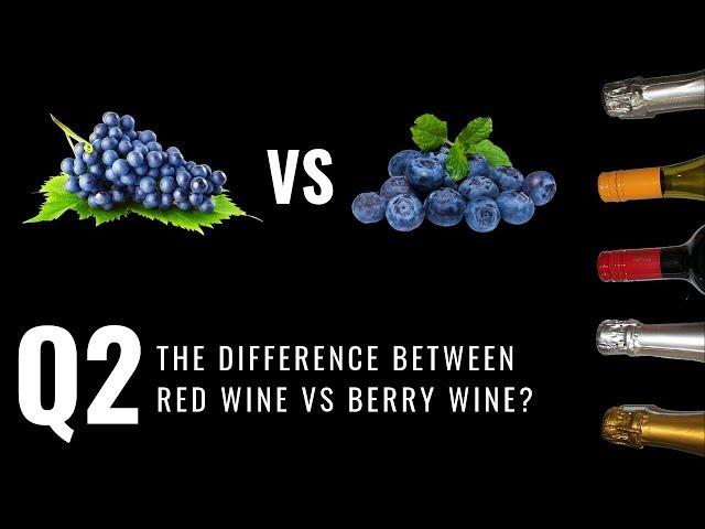 Q2: What The Difference Between Red Wine vs Berry Wine | Angel Estate Wine Production