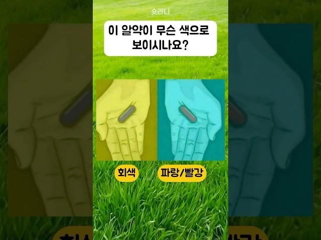 우울 불안 스트레스 지수가 높은 사람만 보인다는 색깔 테스트 퀴즈